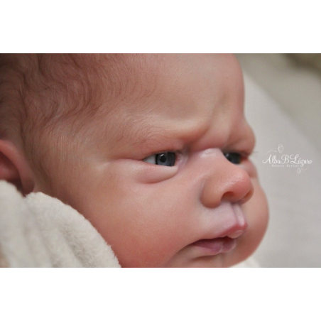 KOBI by Doris Moyers Hornbogen (SALDO FATTURA)