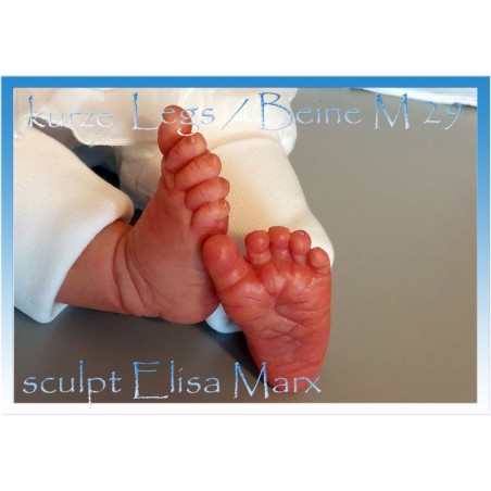 Coppia di gambe 1/4 by Elisa Marx