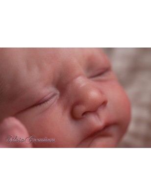 FRIZZLE by Severine Piret (SALDO FINALE)