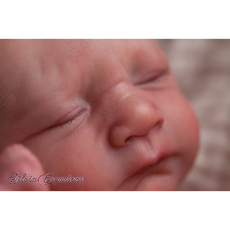 FRIZZLE by Severine Piret (SALDO FINALE)