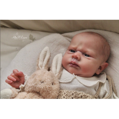 KOBI by Doris Moyers Hornbogen