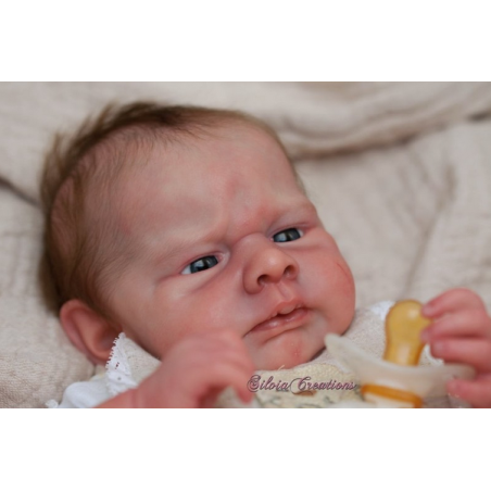 KOBI by Doris Moyers Hornbogen