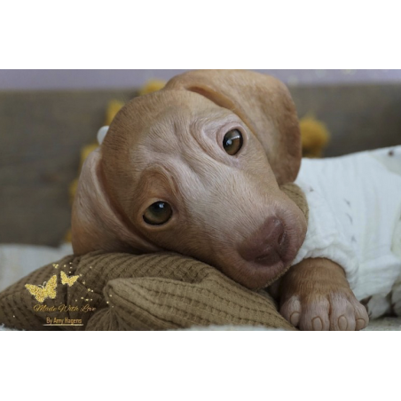 GRILLY by Simon Laurens