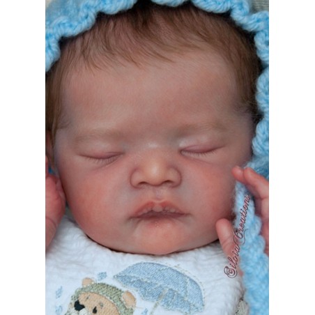 LOVIS by Karola Wegerich (PRE-ORDER)