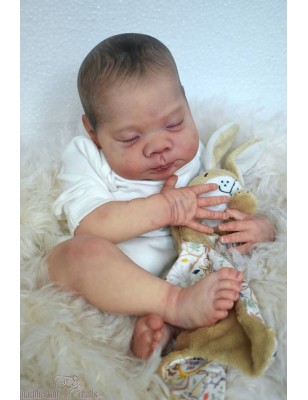 LENNON by Doris Moyers Hornbogen (PRE-ORDER)