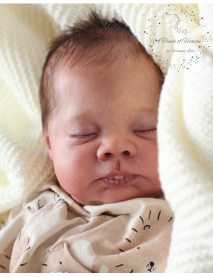 LENNON by Doris Moyers Hornbogen (PRE-ORDER)