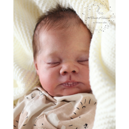 LENNON by Doris Moyers Hornbogen (PRE-ORDER)