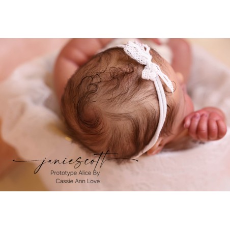 ALICE by Cassie Love - SNEAK PEEK