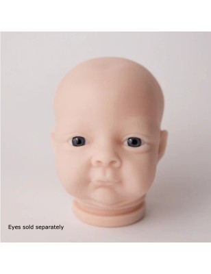 Testa - Bean by Denise Pratt