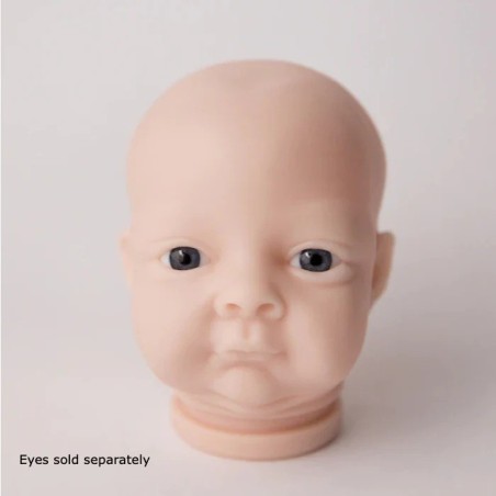 Testa - Bean by Denise Pratt