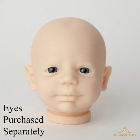 Testa - Steven by Realborn®