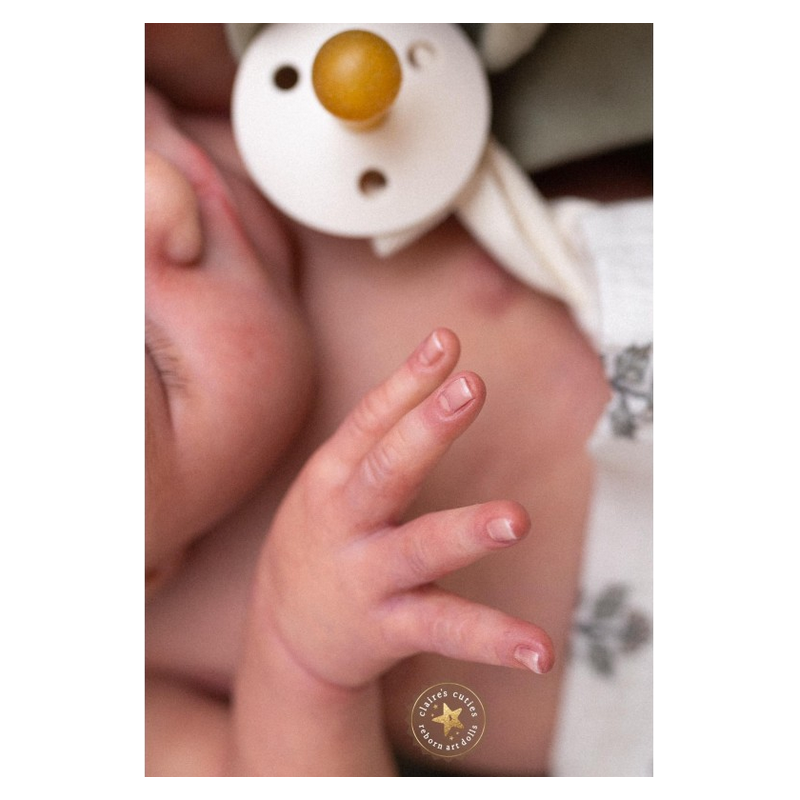Bébé reborn Zachary de Lisa Stone | Passion poupons reborns | bébé reborn québec Bébé reborn Zachary de Lisa Stone | Passion poupons reborns | bébé reborn québec