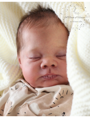 LENNON by Doris Moyers Hornbogen (SALDO FINALE)