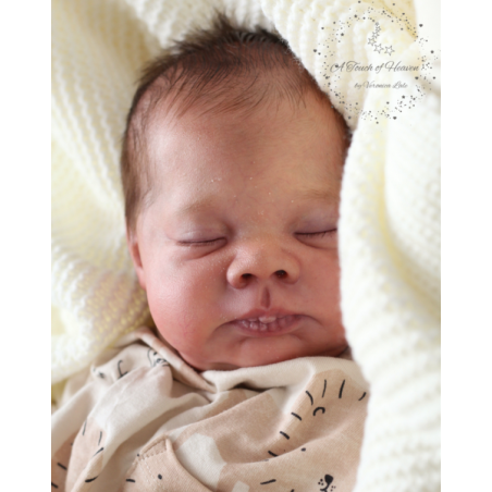 LENNON by Doris Moyers Hornbogen (SALDO FINALE)