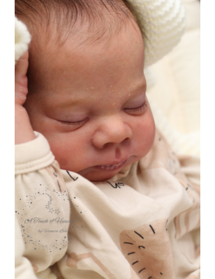 LENNON by Doris Moyers Hornbogen (SALDO FINALE)