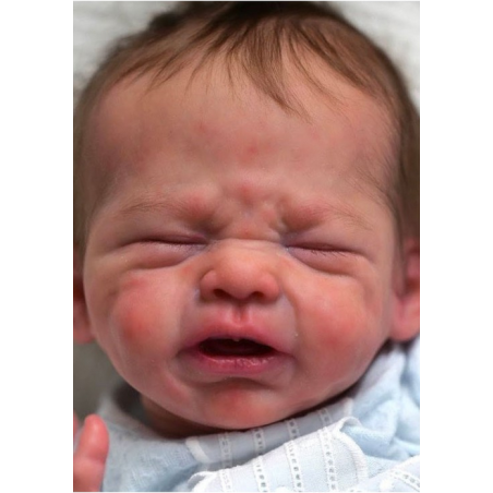 RUDY by Severine Piret (FINAL BALANCE)