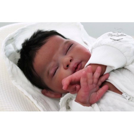 ARROW by Dawn Mac Leod (PRE-ORDINE)