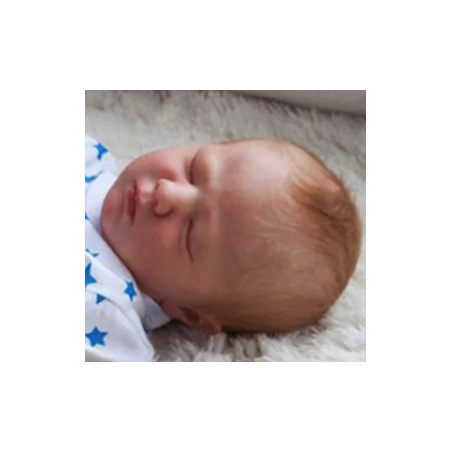 TESTA- LOGAN Sleeping by Realborn®