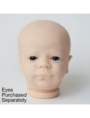 Testa - CHRISTOPHER AWAKE by Realborn®