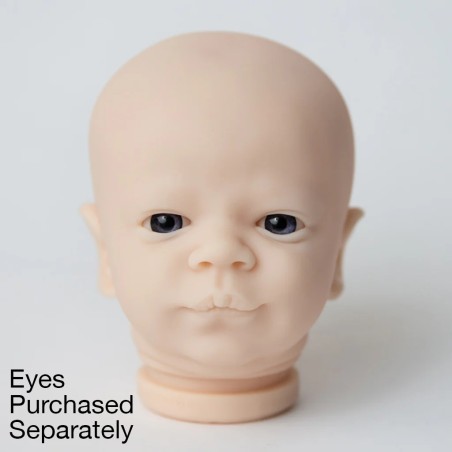 Testa - CHRISTOPHER AWAKE by Realborn®