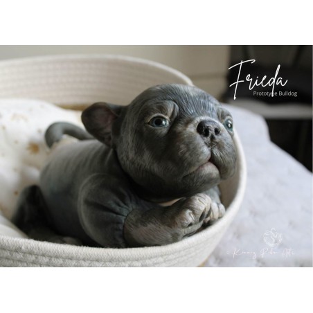 FREIDA by Simon Laurens (PRE-ORDINE)