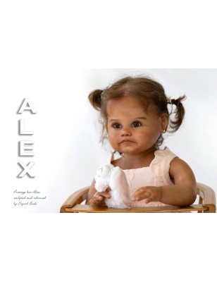 ALEX by Sigrid Bock (PRE-ORDINE)