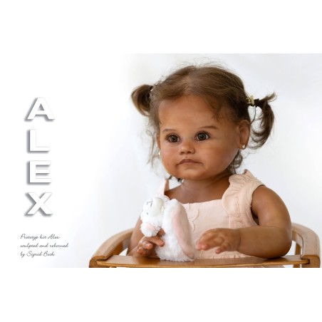 ALEX by Sigrid Bock (PRE-ORDINE)