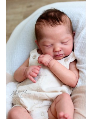 LENNOX  by Cassie Love  (SNEAK-PEEK) - 10 Agosto