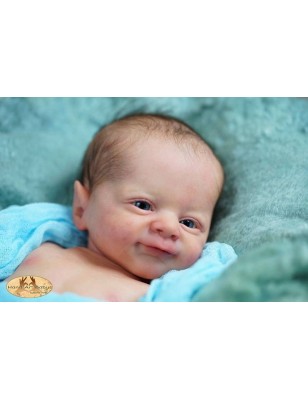 LITTLE WOODLAND ELF FLYNN by Laura Lee Eagles