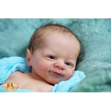 LITTLE WOODLAND ELF FLYNN by Laura Lee Eagles