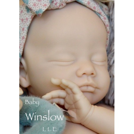 WINSLOW by Laura Lee Eagles- PRE-ORDINE- 11 Agosto