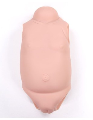 Oakley by Sandy Faber