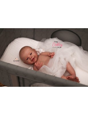 Oakley by Sandy Faber