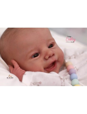 Oakley by Sandy Faber