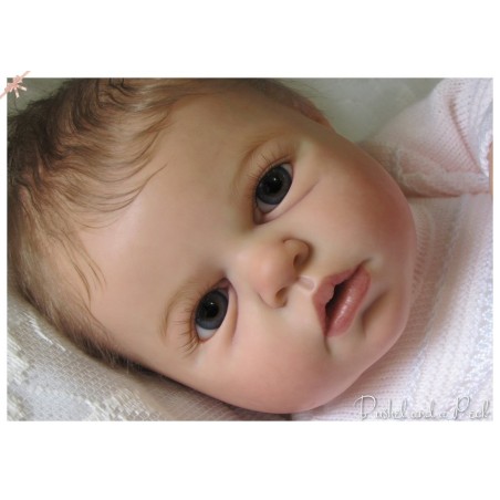 Noah Awake by Reva Schick